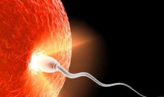怀孕35天可以做b超吗 怀孕多久可以做b超